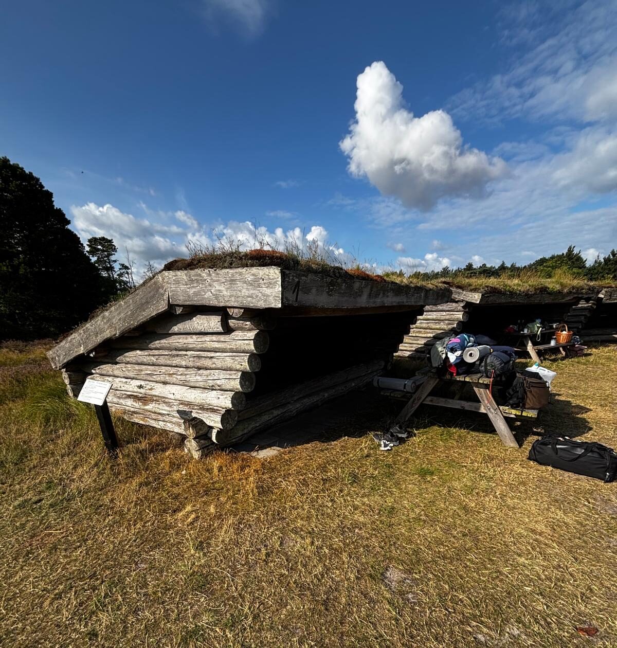 Wooden camping shelters in a forest in Denmark