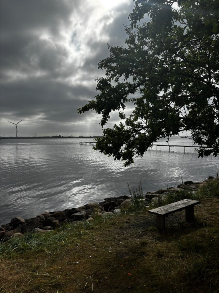 Green camping area overlooking the fjord at Hesteskoen in Aalborg